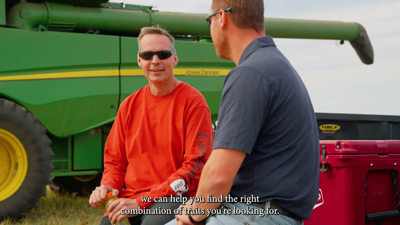 Finding the Right Canola Variety For Your Farm video thumbnail